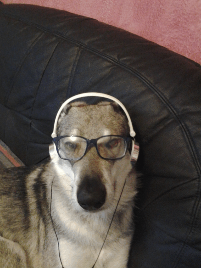 Profilbild von test3