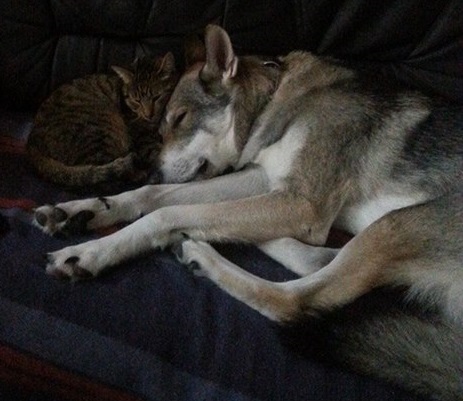 Profilbild von test4