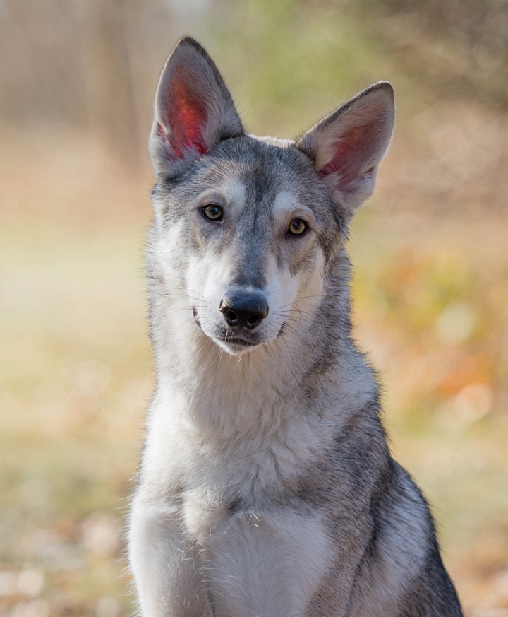 Galeriebild 2 von Test