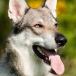 Galeriebild 3 von Test