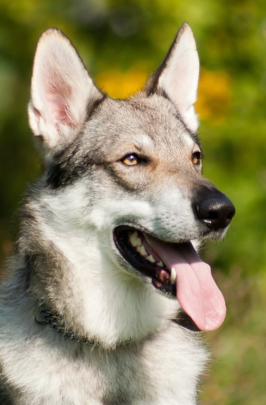 Galeriebild 3 von Test