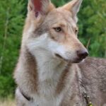 Galeriebild 5 von Test