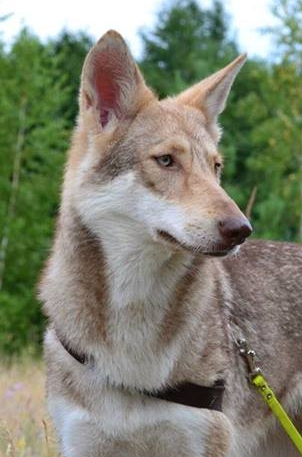 Galeriebild 5 von Test