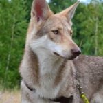 Galeriebild 1 von Test