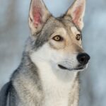 Galeriebild 4 von Test