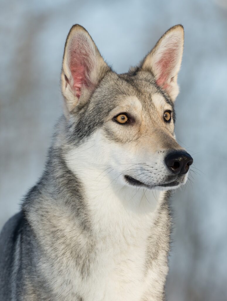 Galeriebild 4 von Test