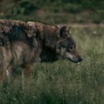 Galeriebild 5 von Test2