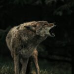 Galeriebild 4 von Test2