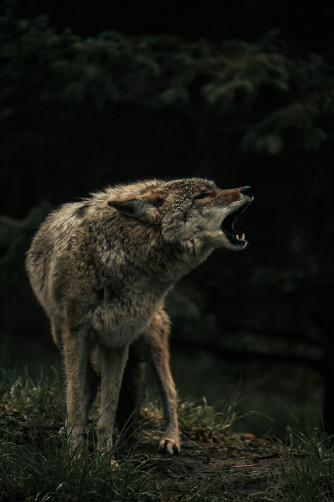 Galeriebild 4 von Test2