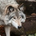 Galeriebild 2 von Test2